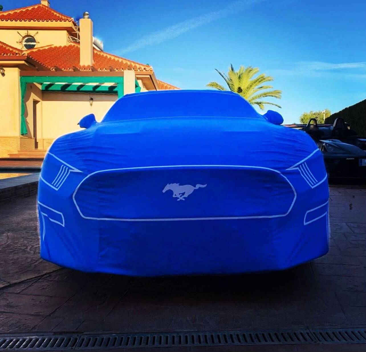 Silhouette Series: VIP Limited Edition Covers For Mustangs